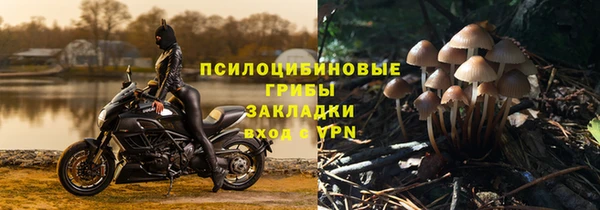 амфетамин Алексин