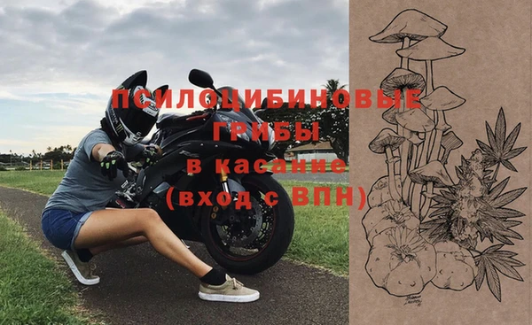 стафф Абинск