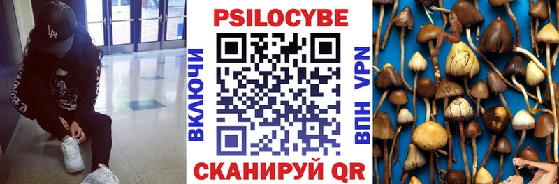 хочу   Грайворон  Галлюциногенные грибы мицелий 